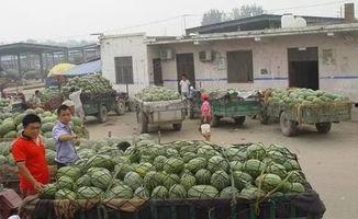 擅长吃瓜,揭秘那些年我们吃过的“瓜”  第2张