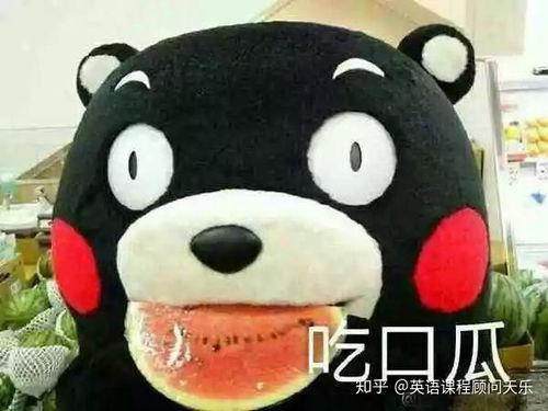 吃瓜应该怎么形容  第2张