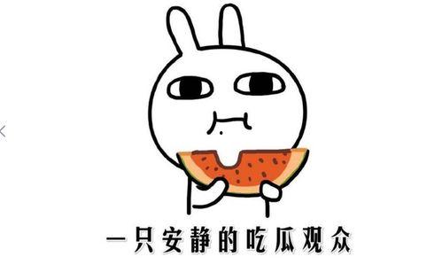 吃瓜应该怎么形容  第3张