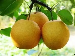 南方女孩吃瓜  第2张