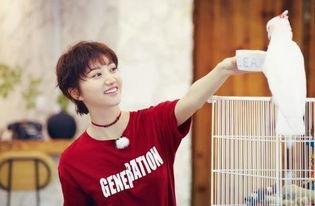 景甜自由吃瓜  第1张