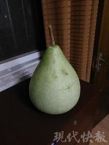 吃自家老板的瓜  第2张