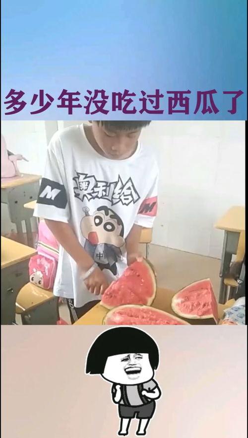 吃瓜表弟知乎  第2张