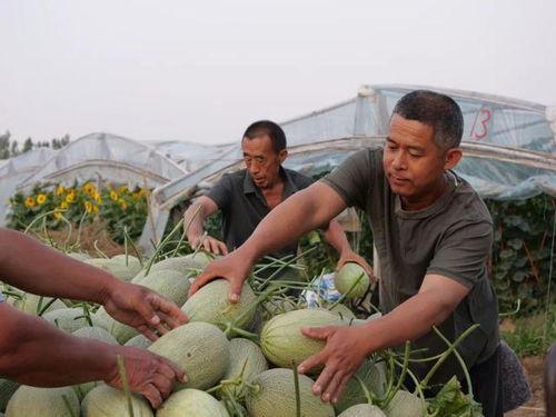 吃瓜网去,吃瓜网带你领略明星幕后故事