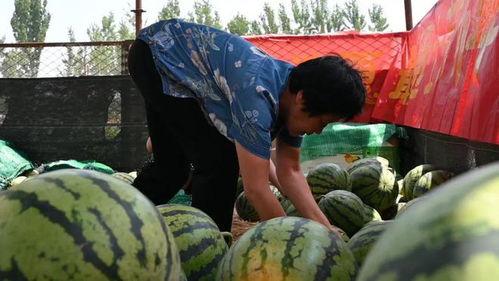 吃瓜网去,吃瓜网带你领略明星幕后故事  第3张