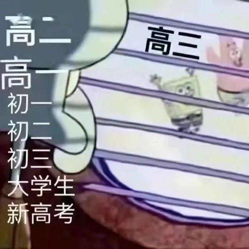 高考完吃瓜视频,揭秘校园幕后趣事