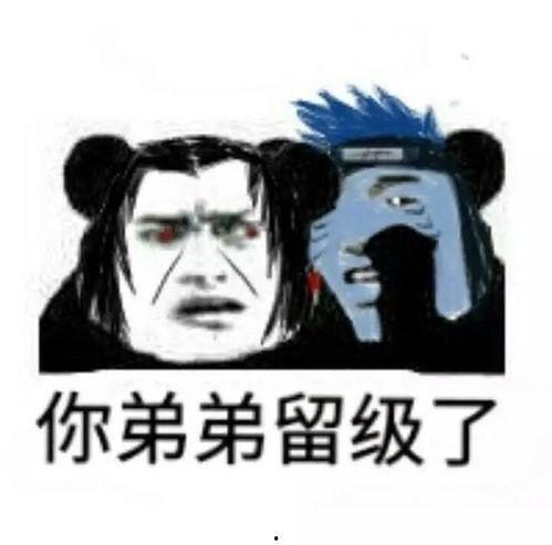 雨中吃瓜好嗨哟,畅享夏日嗨翻天  第1张